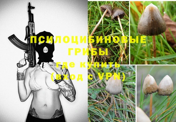 метадон Алексин