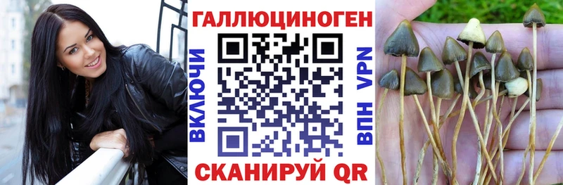 Псилоцибиновые грибы Psilocybe  Хасавюрт 